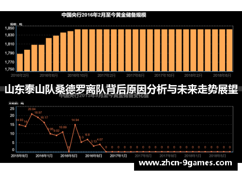 山东泰山队桑德罗离队背后原因分析与未来走势展望