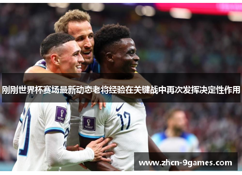 刚刚世界杯赛场最新动态老将经验在关键战中再次发挥决定性作用